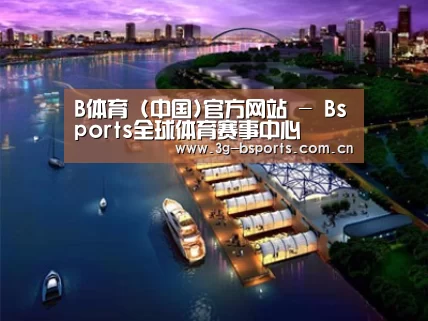 案例展示八