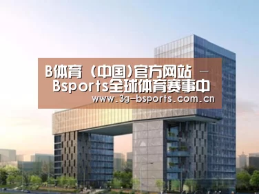 案例展示四